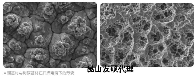 河源蔡司河源扫描电镜