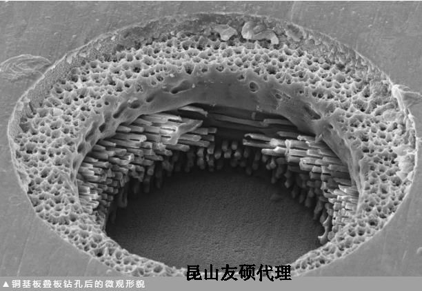 河源蔡司河源扫描电镜